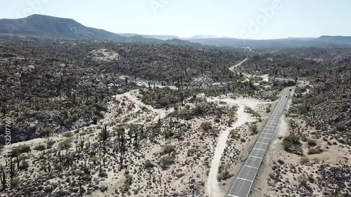 Busy highway crossing a cactus desert