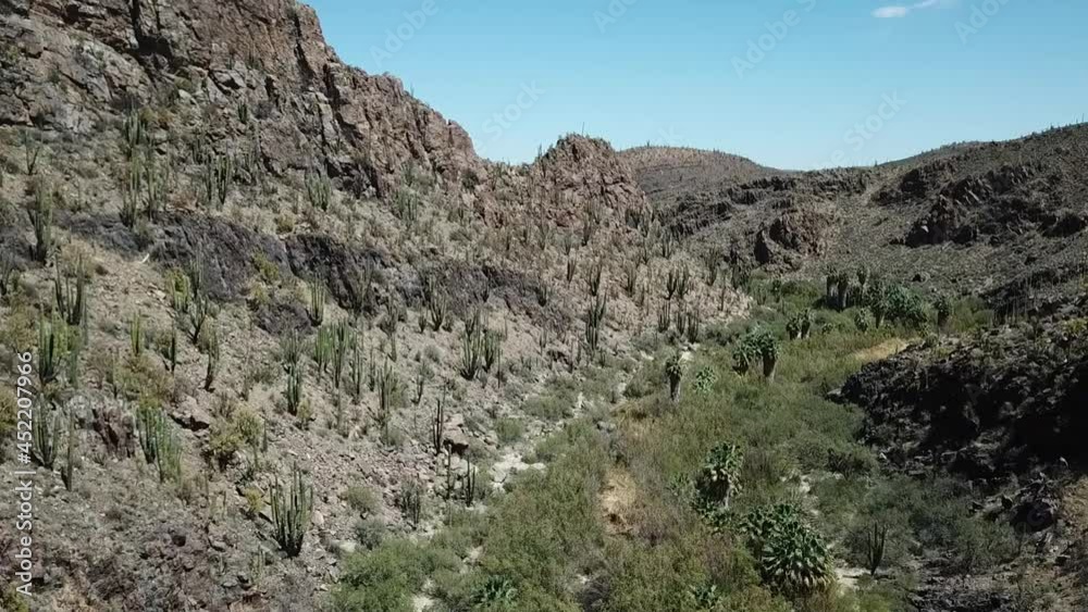 Slow flyby of an oasis in a cactus desert of Mexico Aerial shot Slow flyby of an oasis in a cactus desert of Mexico Aerial shot
