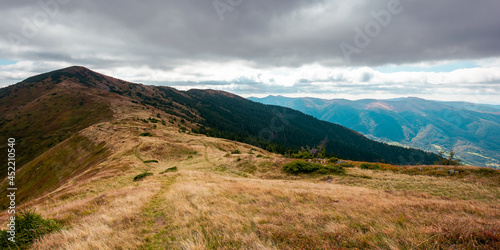 carpathian mountain landscape in early autumn. colorful scenery of mt. strymba, ukraine. svydovets ridge in the distance beneath a cloudy sky. popular travel destination