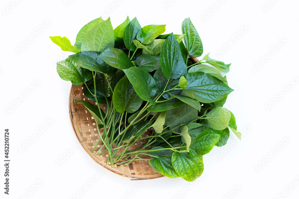 Fresh Wild Betel leaves in bamboo basket on white background. Fresh Wild Betel leaves in bamboo basket on white background.