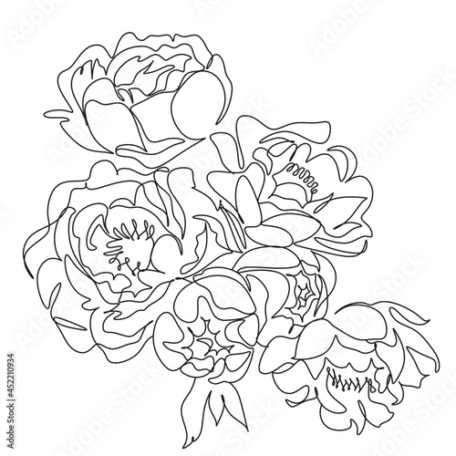 Peony Flowers one line art vector. Botanical peonies line drawing minimalist