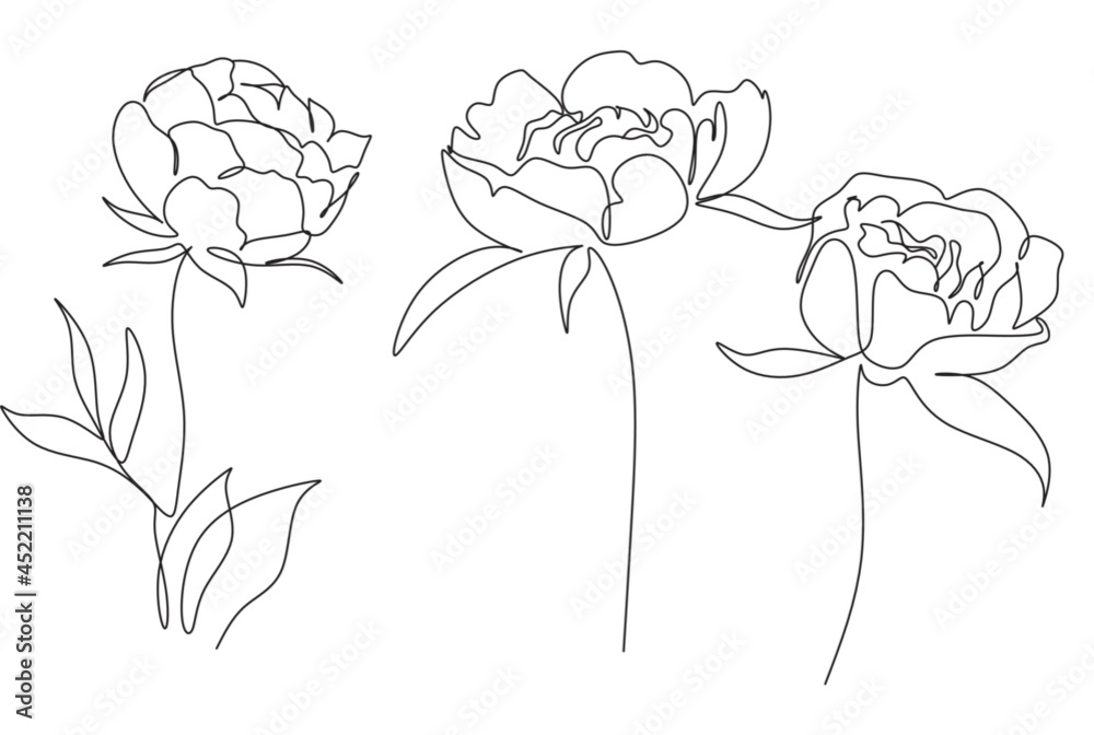 Peony Flowers one line art vector. Botanical peonies line drawing minimalist - obrazy, fototapety, plakaty 
