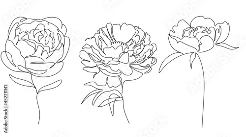 Peony Flowers one line art vector. Botanical peonies line drawing minimalist