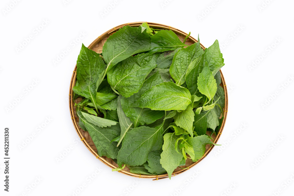 Tree Basil leaves (Ocimum gratissimum) in bamboo basket on white background. Tree Basil leaves (Ocimum gratissimum) in bamboo basket on white background.