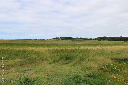 Landschaft in der Godel-Niederung auf F  hr   Landscape in the Godel lowland on the island of F  hr