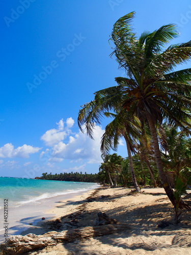 Palm trees and beach on the Corn Islands, Nicaragua