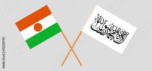 Crossed flags of the Niger and Islamic Emirate of Afghanistan. Official colors. Correct proportion photo