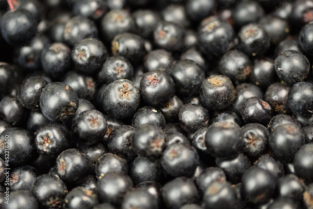 Chokeberries fruits cloeseup, aronia fruits background, fresh chokeberry ripe fruits. Chokeberries fruits cloeseup, aronia fruits background, fresh chokeberry ripe fruits.