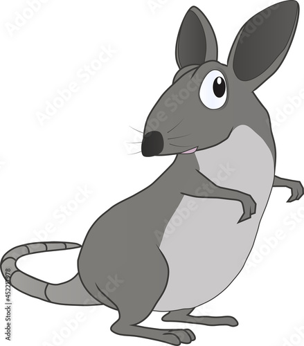 A mouse is wary of something suspicious