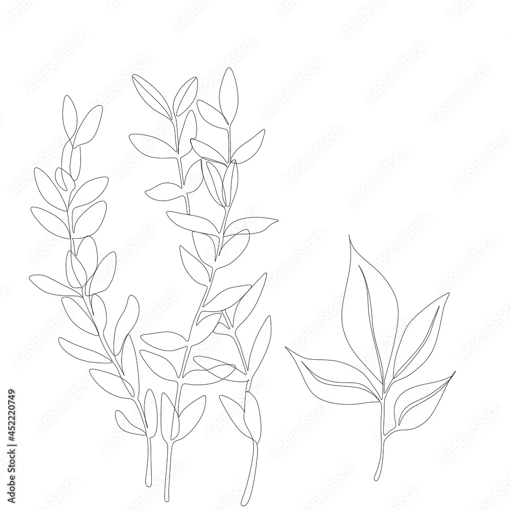 Naklejka premium Abstract plant one line drawing. Hand drawn modern minimalistic design for creative logo, icon or emblem.