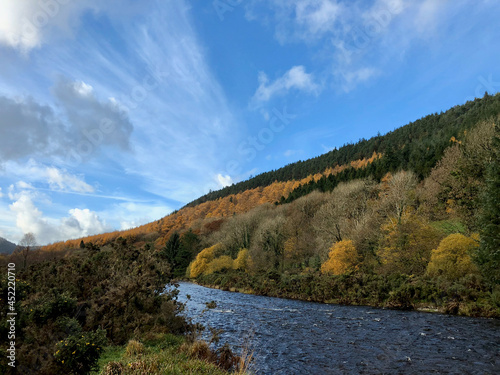 River and forest in Autumn in Wales