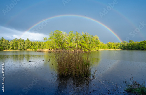 Summer forest with beautiful Rainbow 7