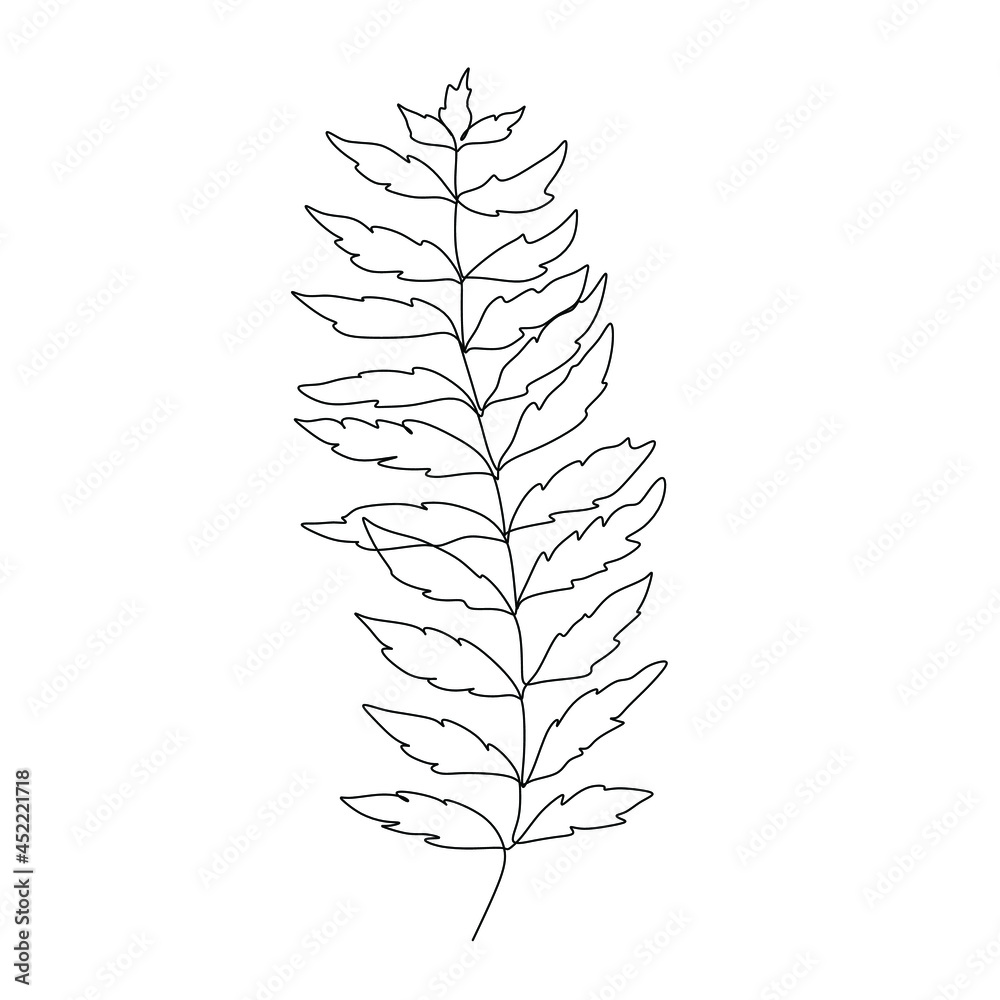 Flowers and plants line Flowers and plants line