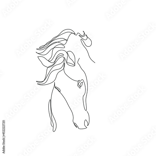 Horse with a mane line
