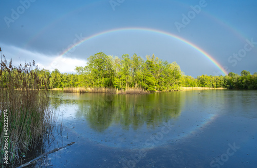 Summer forest with beautiful Rainbow 4