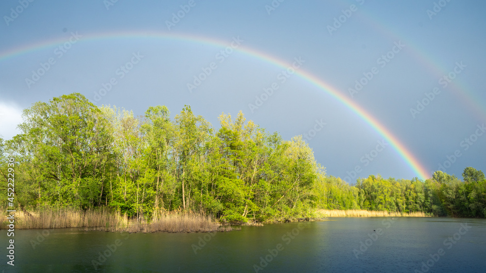 Summer forest with beautiful Rainbow 3 Summer forest with beautiful Rainbow 3