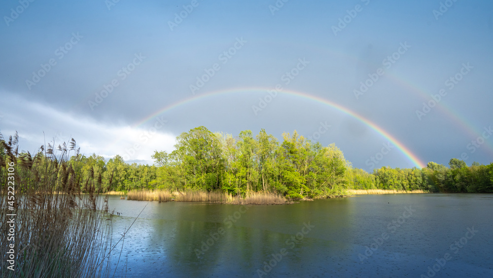 Summer forest with beautiful Rainbow 2 Summer forest with beautiful Rainbow 2