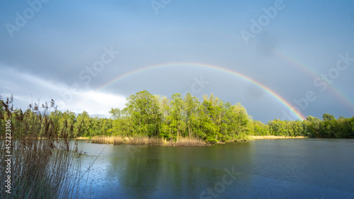 Summer forest with beautiful Rainbow 2