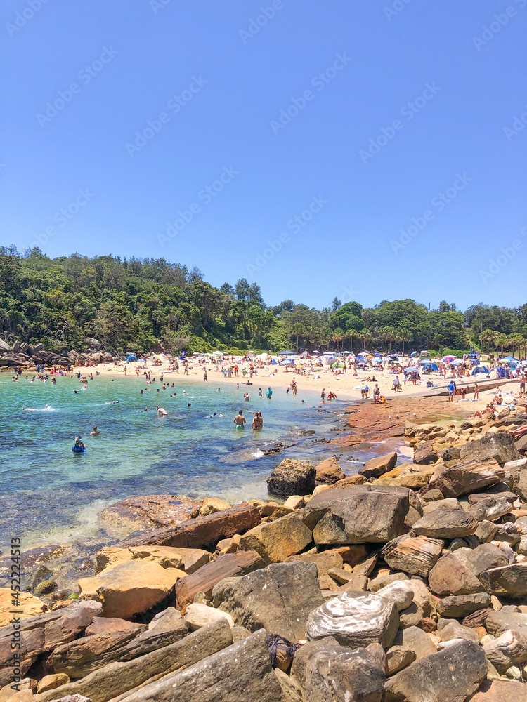 Obraz premium Shark Beach Nsw Sydney