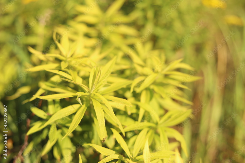 Nature shots from our Wisconsin farm