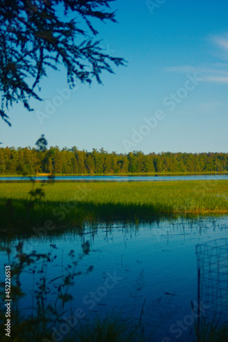 Lake Itasca photo