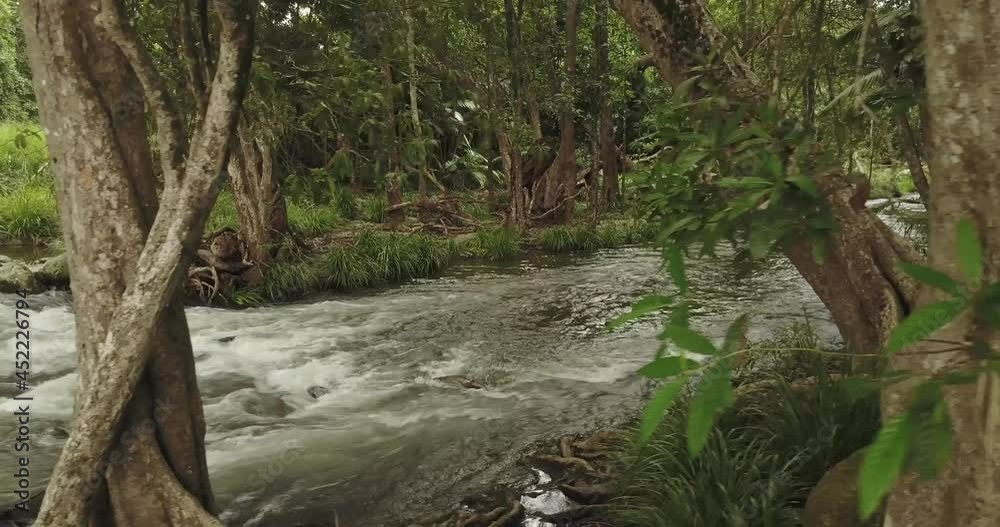 Drone Aerial View Queensland Australia Scenic Low Level River and Forest