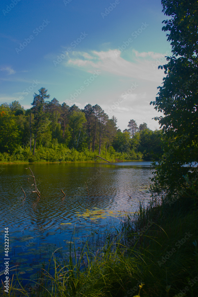 Obraz premium lake in the forest