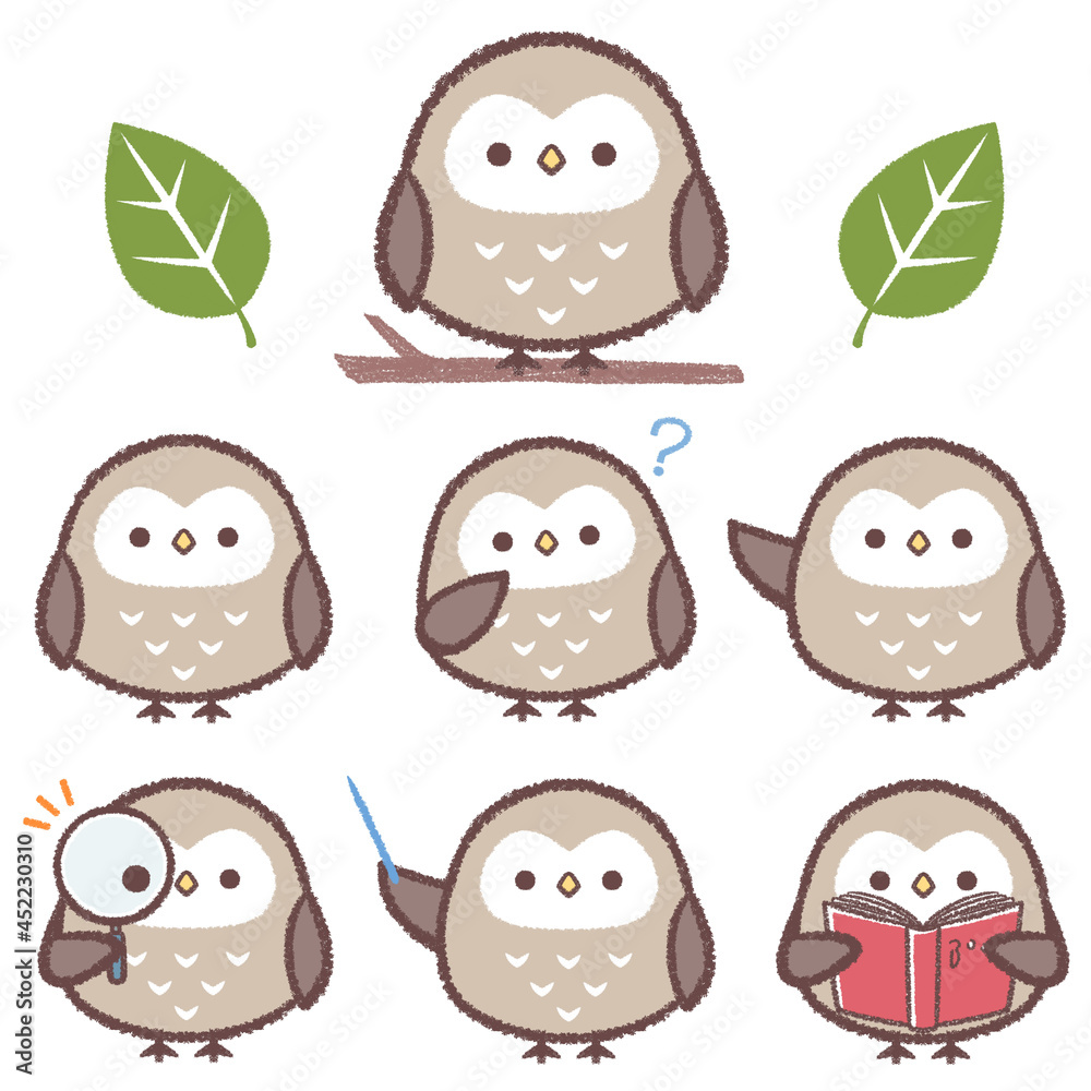 Fototapeta premium フクロウのバリエーションセット