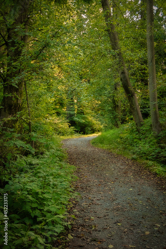 Stanley Park © RFH Photography