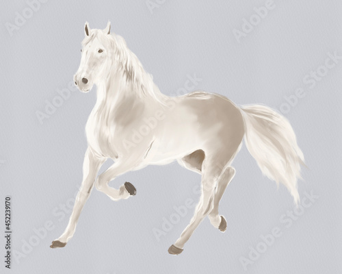 White horse running   Digital illustration
