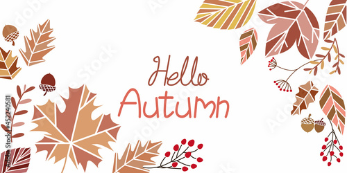 Autumn  background. Decorative Autumn leaves and berries illustration. Vector illustration. Web, banner, graphic design elements.