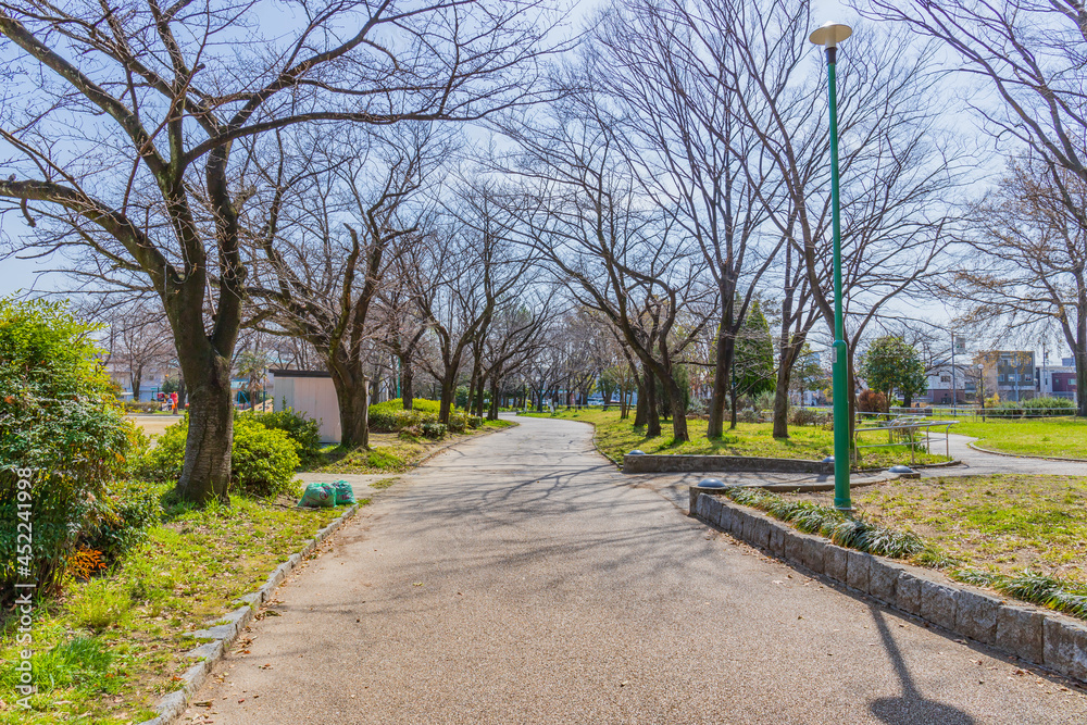 天気のいい日の公園