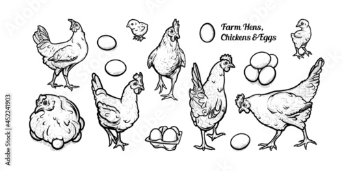 Free grazing hens with eggs and chickens. Set of egg-laying hens. Hand drawn vector illustration