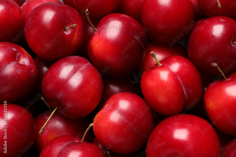Fresh ripe cherry plums as background, closeup Fresh ripe cherry plums as background, closeup