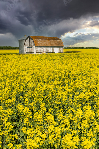 Farm Buildings 