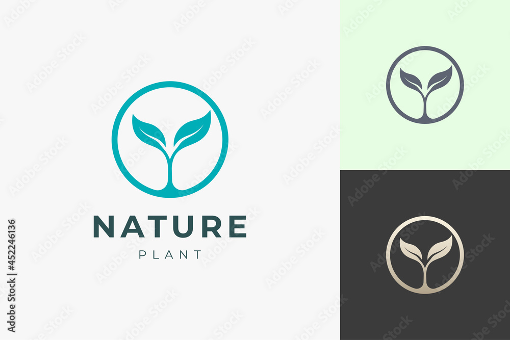 Clean and simple plant logo template for organic or agriculture Clean and simple plant logo template for organic or agriculture