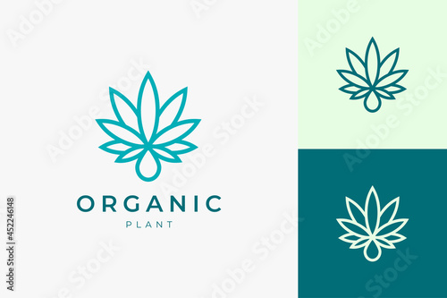Cannabis leaf and oil logo for medical and pharmaceutical