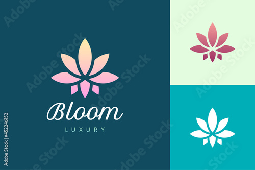 Cannabis farm or marijuana leaf logo for medical and pharmaceutical