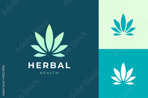 Herbal or health logo in simple and clean cannabis or marijuana leaf