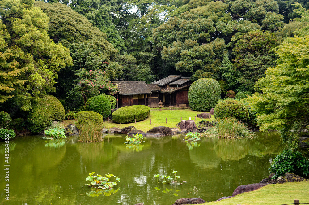 Obraz premium Tokyo Japan