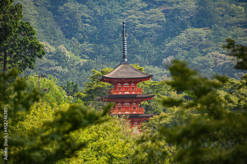 Kyoto Japan