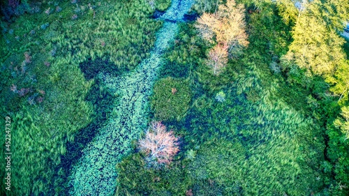 Aerial Shot of the Featherbed Branch, an old unused and overgrown cranberry bog in the Pine Barrens, New Jersey, USA photo