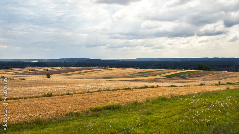 Agricultural fields situated on little hills in the time of harvest. Forest in the background. Cloudy, summer day. Susiec, Roztocze, Poland.