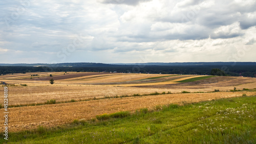 Agricultural fields situated on little hills in the time of harvest. Forest in the background. Cloudy  summer day. Susiec  Roztocze  Poland.