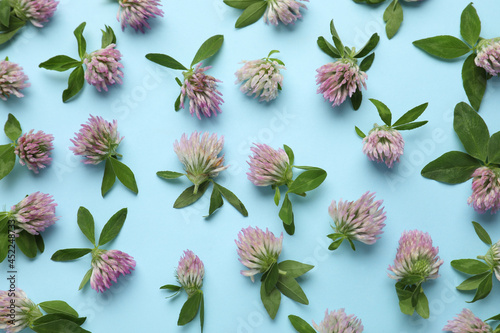 Beautiful clover flowers with green leaves on light blue background, flat lay © New Africa