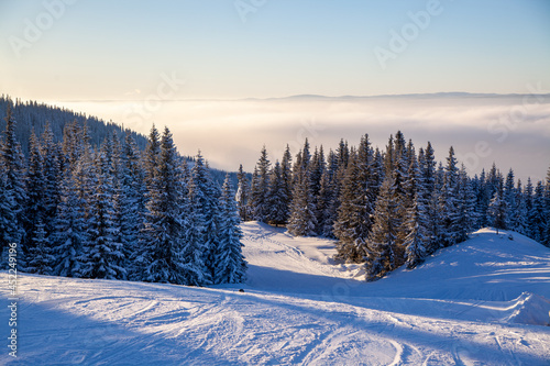 Ski trail empty slope among frozen and snow-covered fir trees at sunset