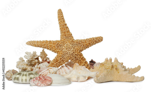 Beautiful starfish, coral and sea shells on white background