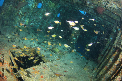 Inside the Glen Nusa II Shipwreck with surrounding fish on Gili Island Lombok