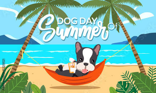 French bulldog lying in a hammock against the backdrop of the island sea. coconut trees and palm leaves vector illustration
