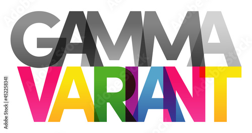 GAMMA VARIANT Colored Vector banner. Corporate concept. Gradient Text. Transparency Letters rainbow text. Vector illustration